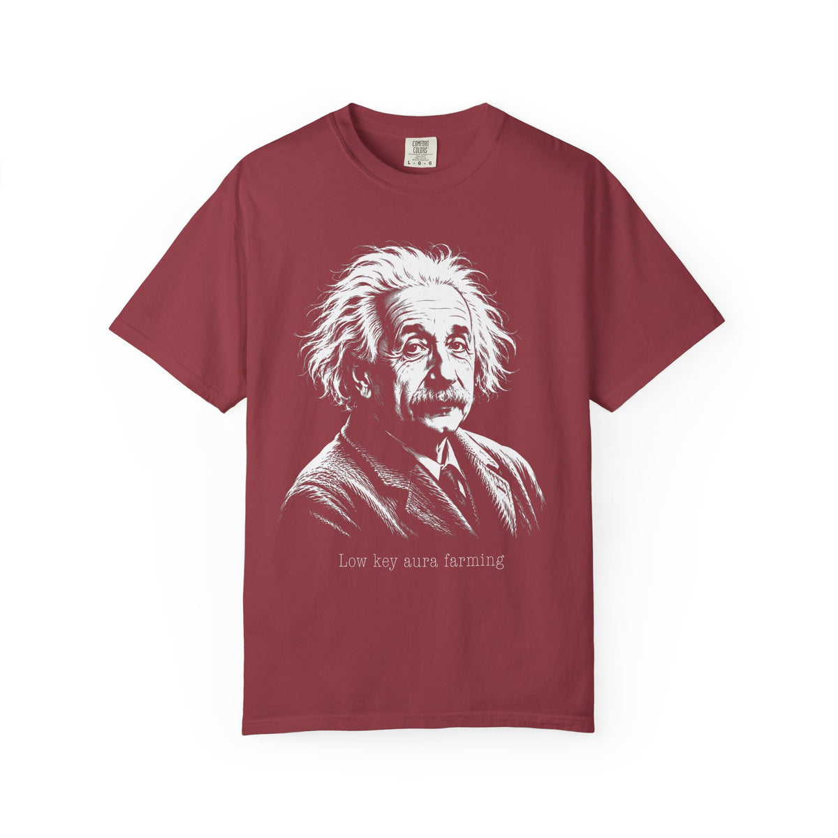 Albert Einstein - Low Key Aura Farming