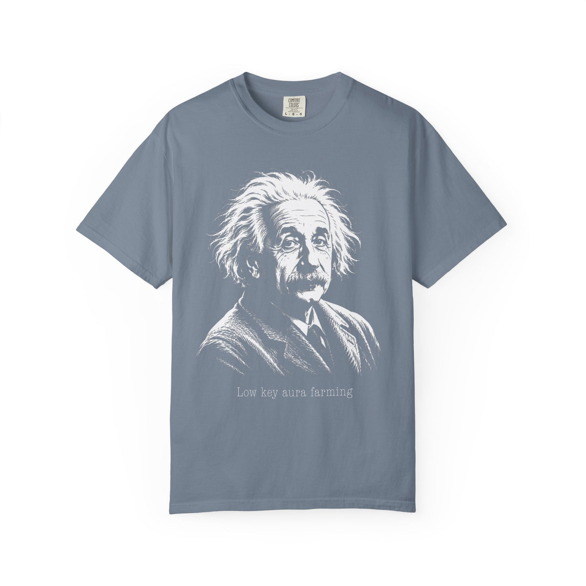 Albert Einstein - Low Key Aura Farming