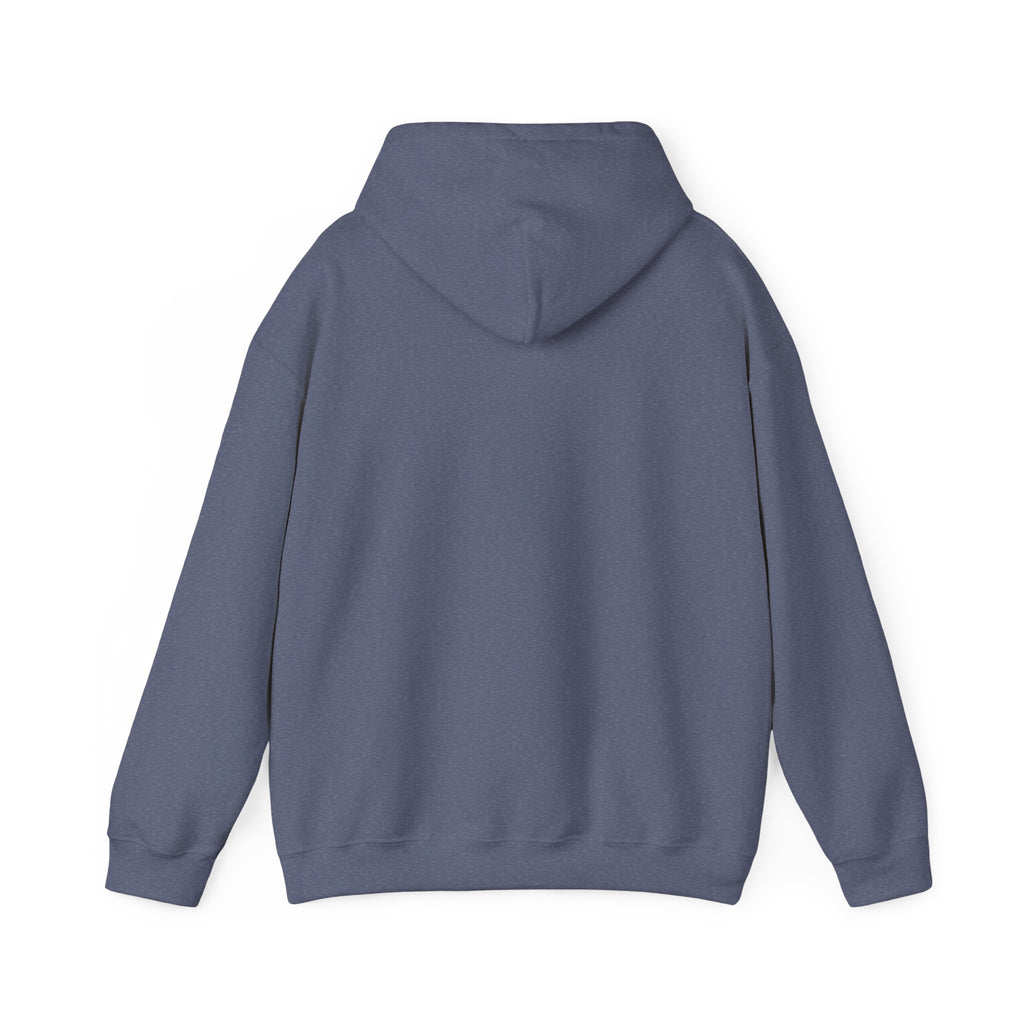 BOY MATH — Charles Darwin Hoodie