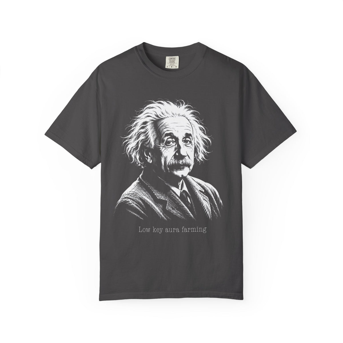 Albert Einstein - Low Key Aura Farming