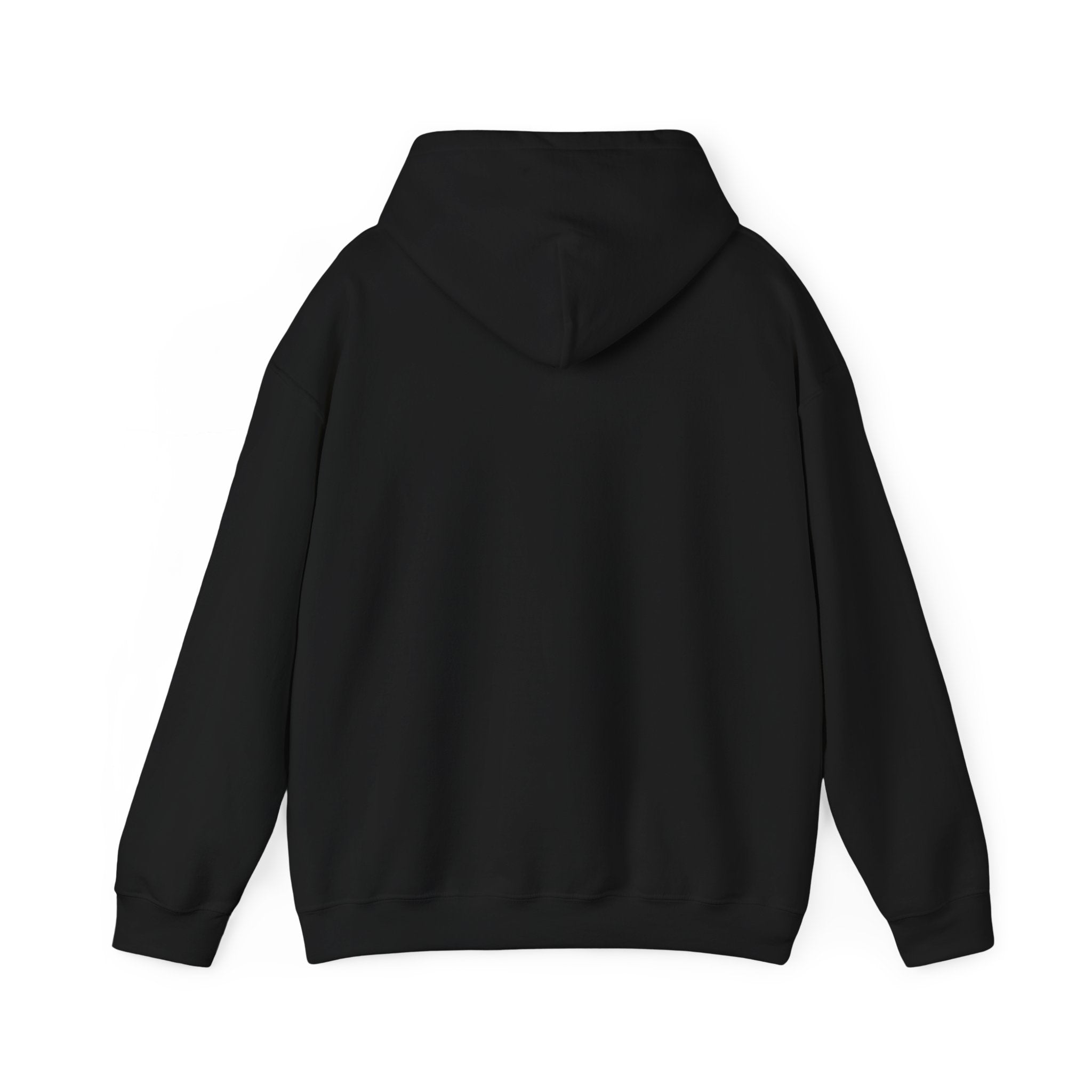 Recalculating Hoodie — Columbus GPS Statue Graphic Hoodie