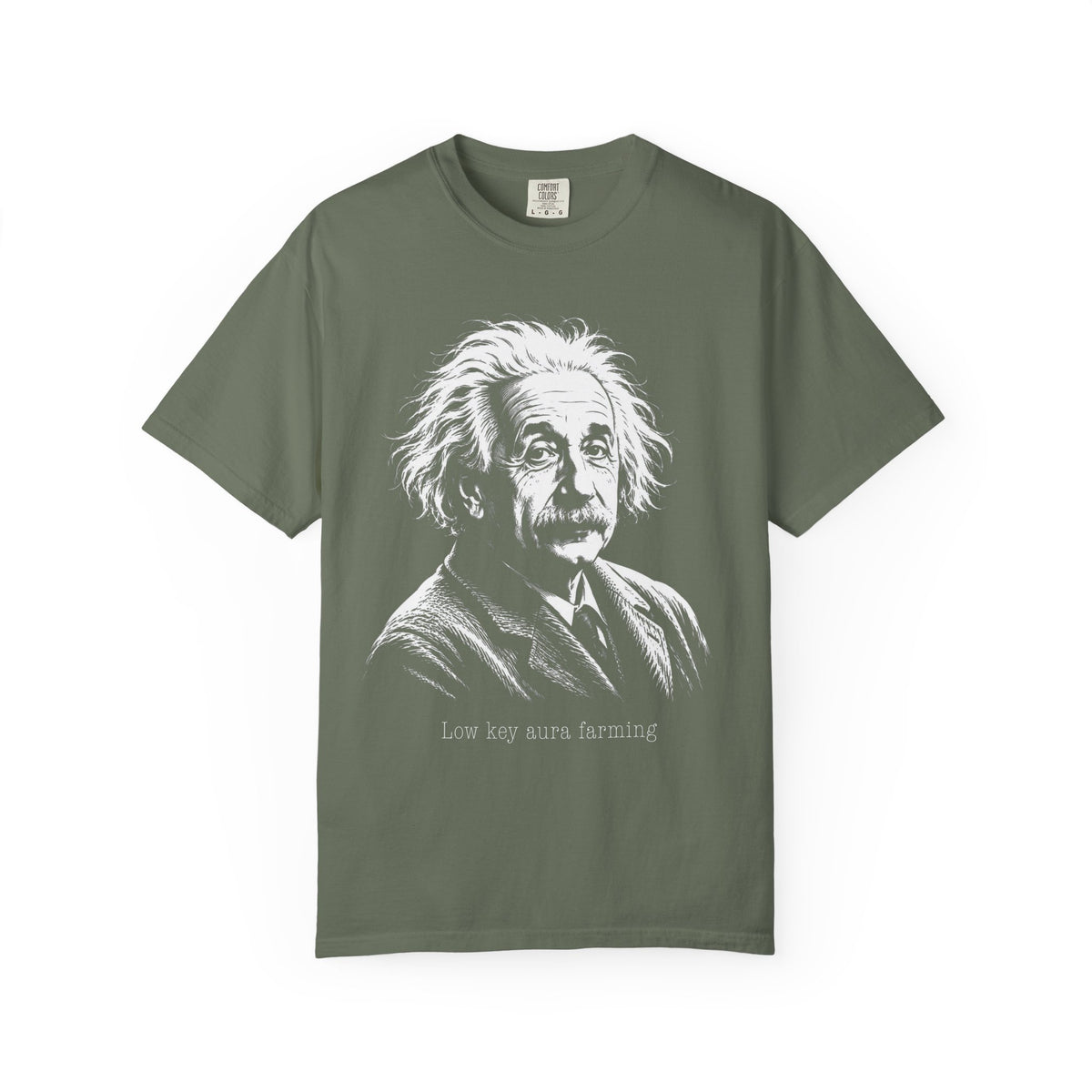 Albert Einstein - Low Key Aura Farming