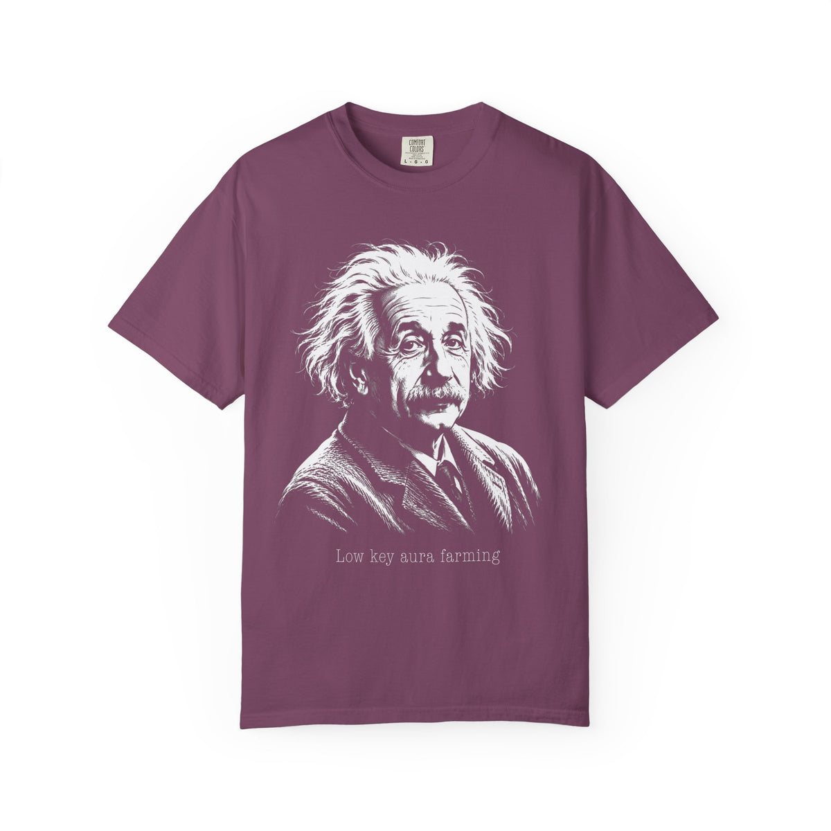 Albert Einstein - Low Key Aura Farming