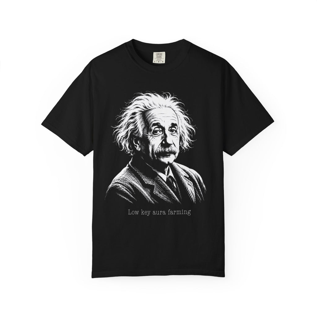 Albert Einstein - Low Key Aura Farming