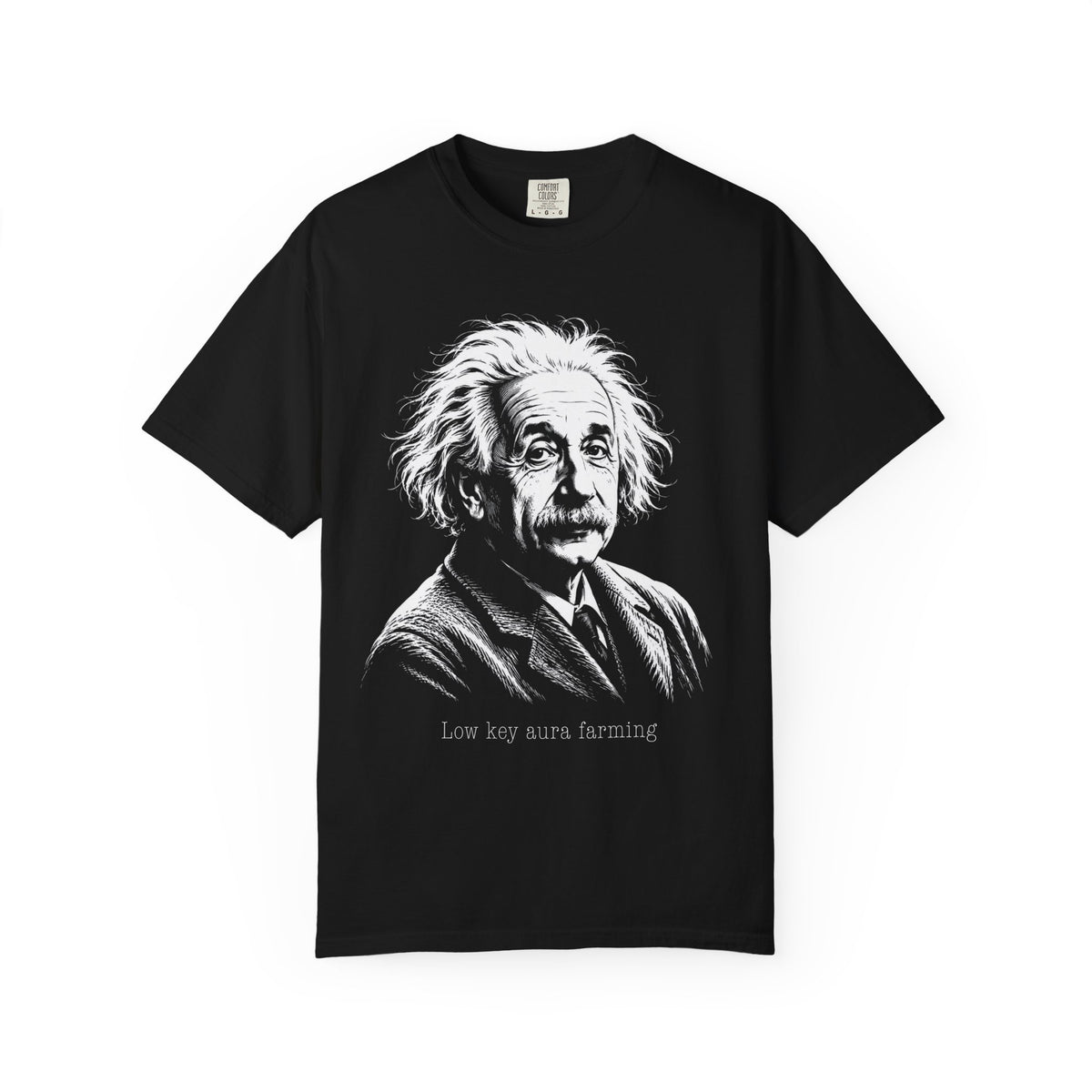 Albert Einstein - Low Key Aura Farming