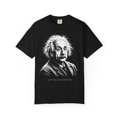 Albert Einstein - Low Key Aura Farming